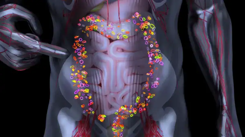 Fabians Entgiftungs & Darmsanierung Masterclass